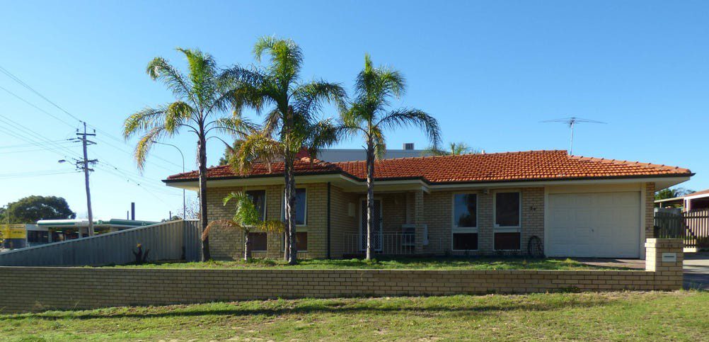 54 Callistemon